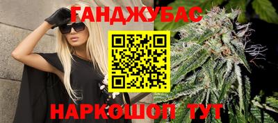 гашик Донской