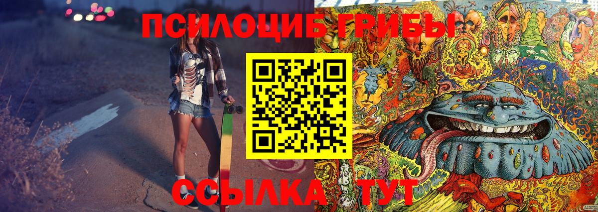 купить наркотик  Вход с VPN  Михайловка  Галлюциногенные грибы мицелий 